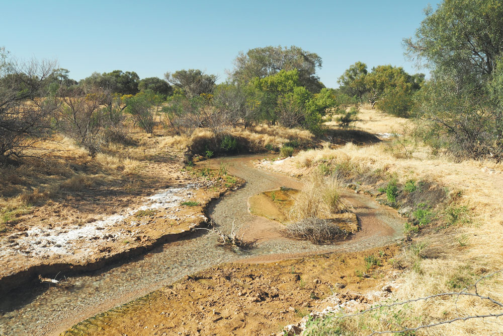 Source d'eau chaude dans le désert Simpson Birdsville track