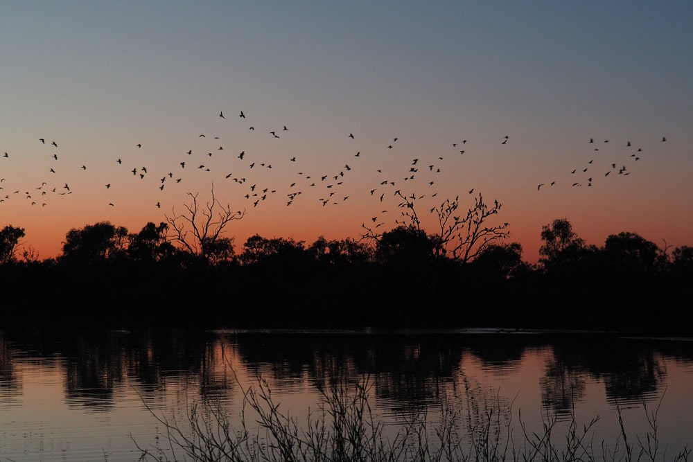 Paysage d'Australie à Birdsville Queensland