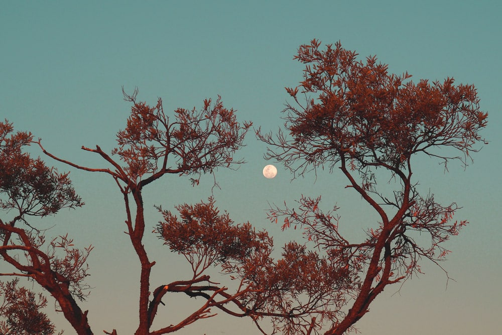 Pleine lune la veille de l'éclipse de août 2018 en Australie