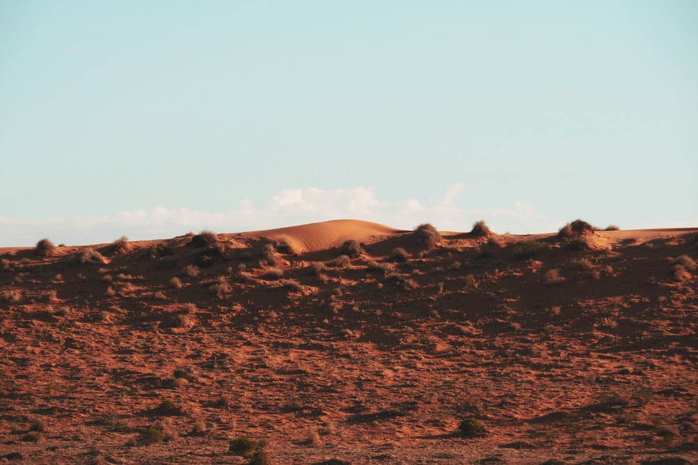 Voir le Simpson Desert près de Birdsville