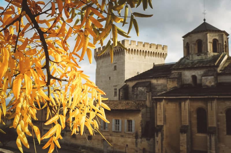 visiter Palais des Papes Avignon Toussaint