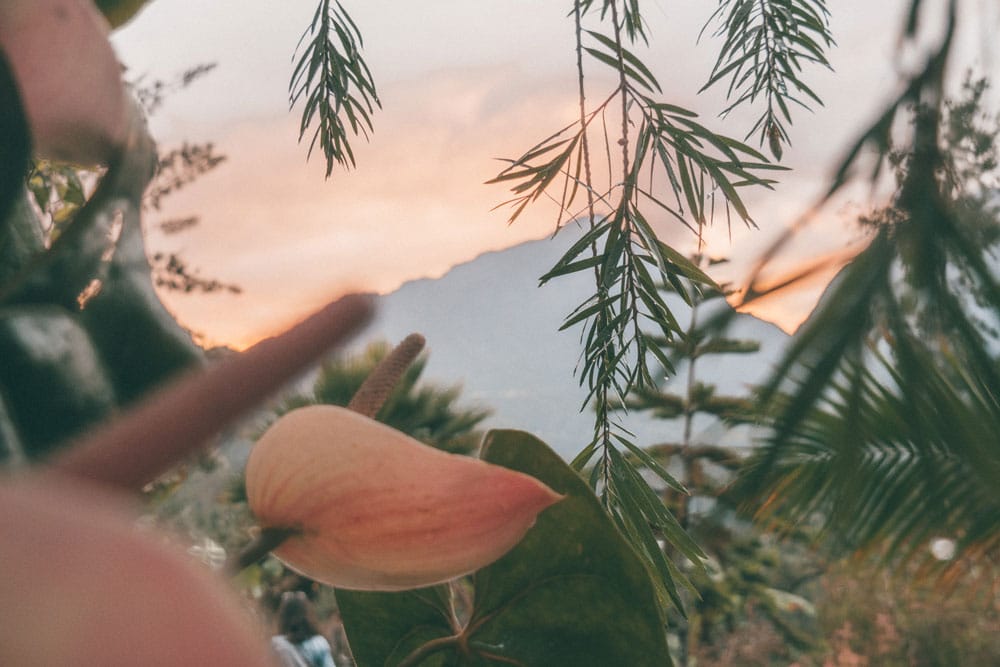 Les plus beaux paysages de La Réunion en 5 jours