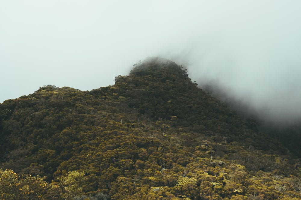 paysage ile de La Réunion cirque Mafate