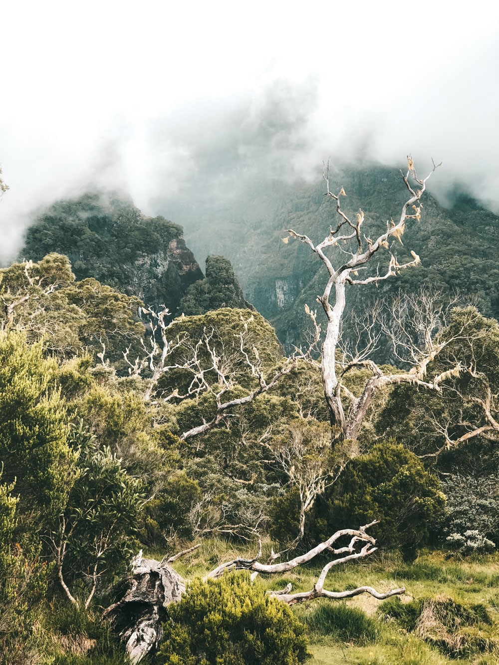 randonnée cirque de Mafate île Réunion