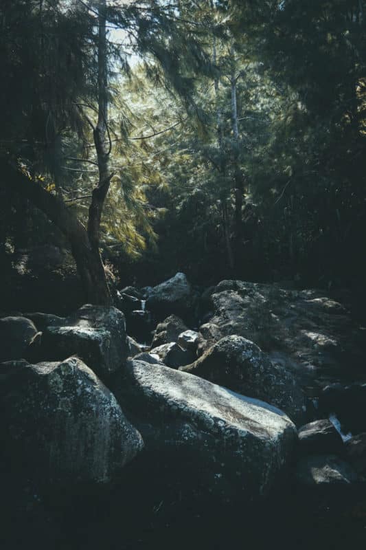 sentier de randonnée cirque Mafate ile Réunion