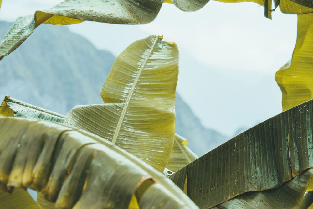 visiter cirque de Salazie Réunion en 5 jours