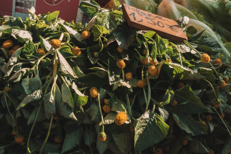 aller au marché forain Saint Pïerre La Réunion