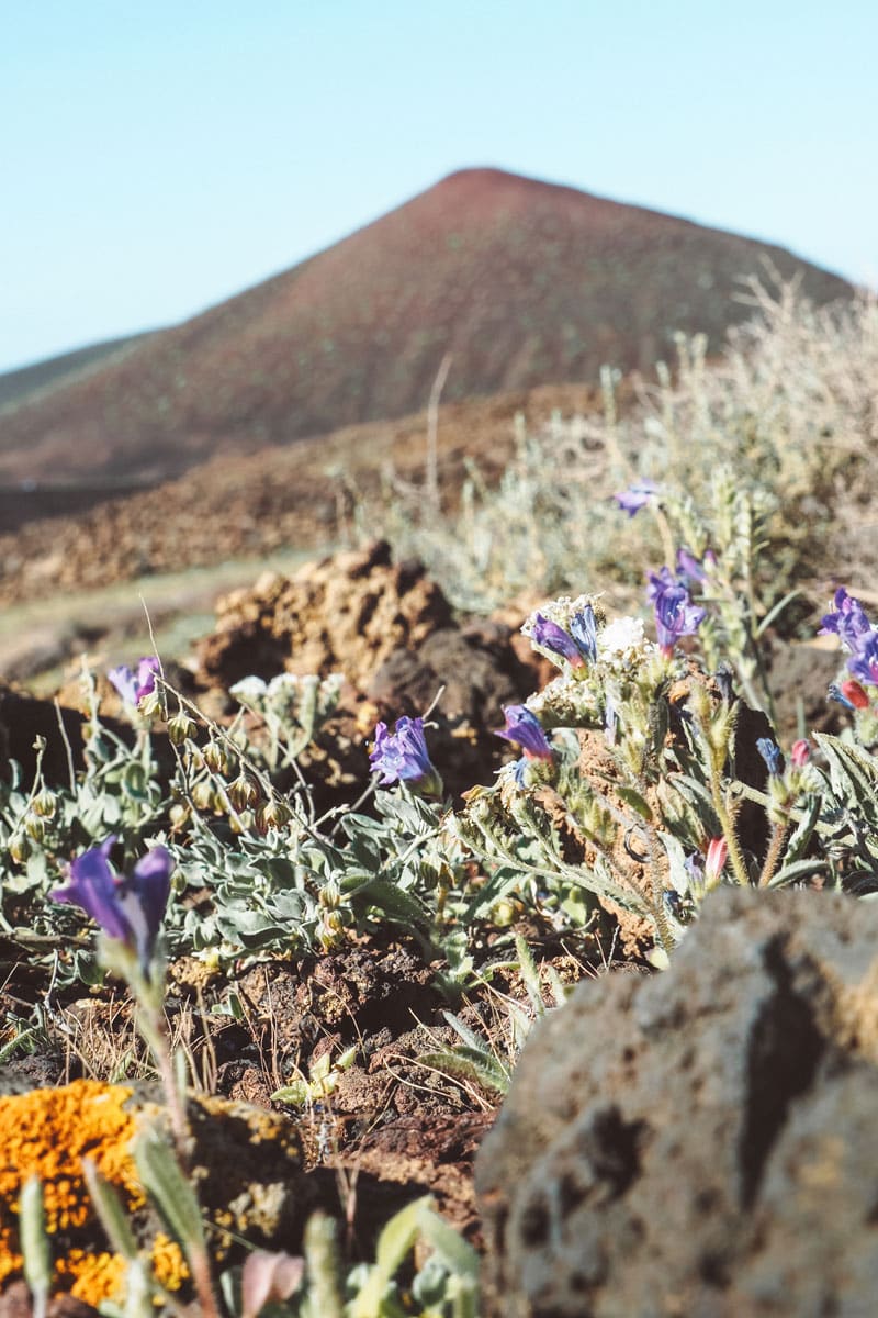 Lanzarote en hiver que faire vacances de Noël