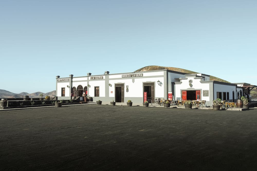 route du vin visiter bodega Lanzarote