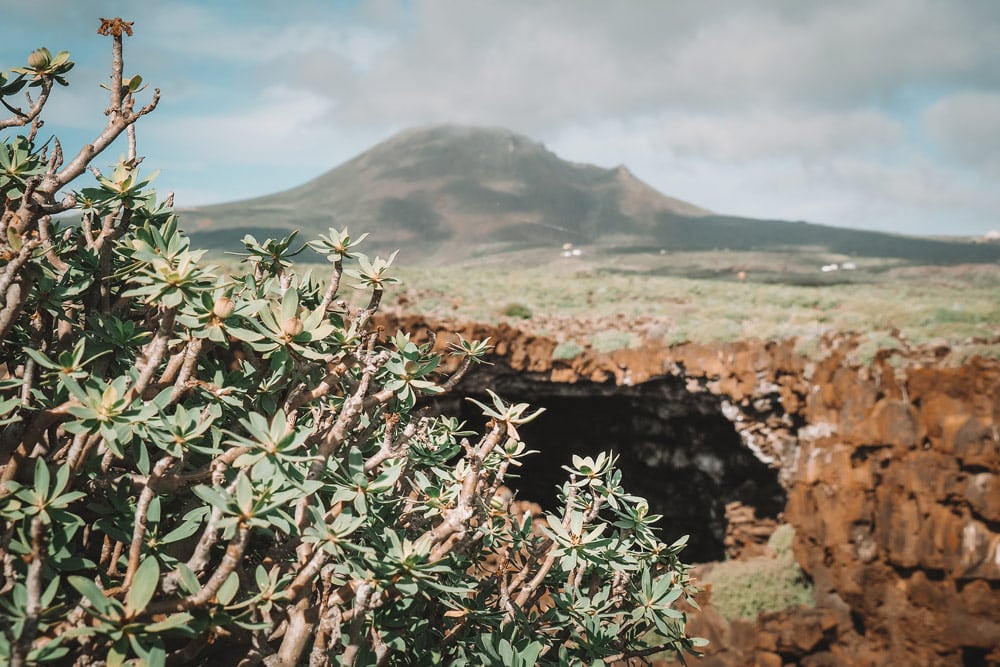 voir lameo volcan Corona nord de Lanzarote