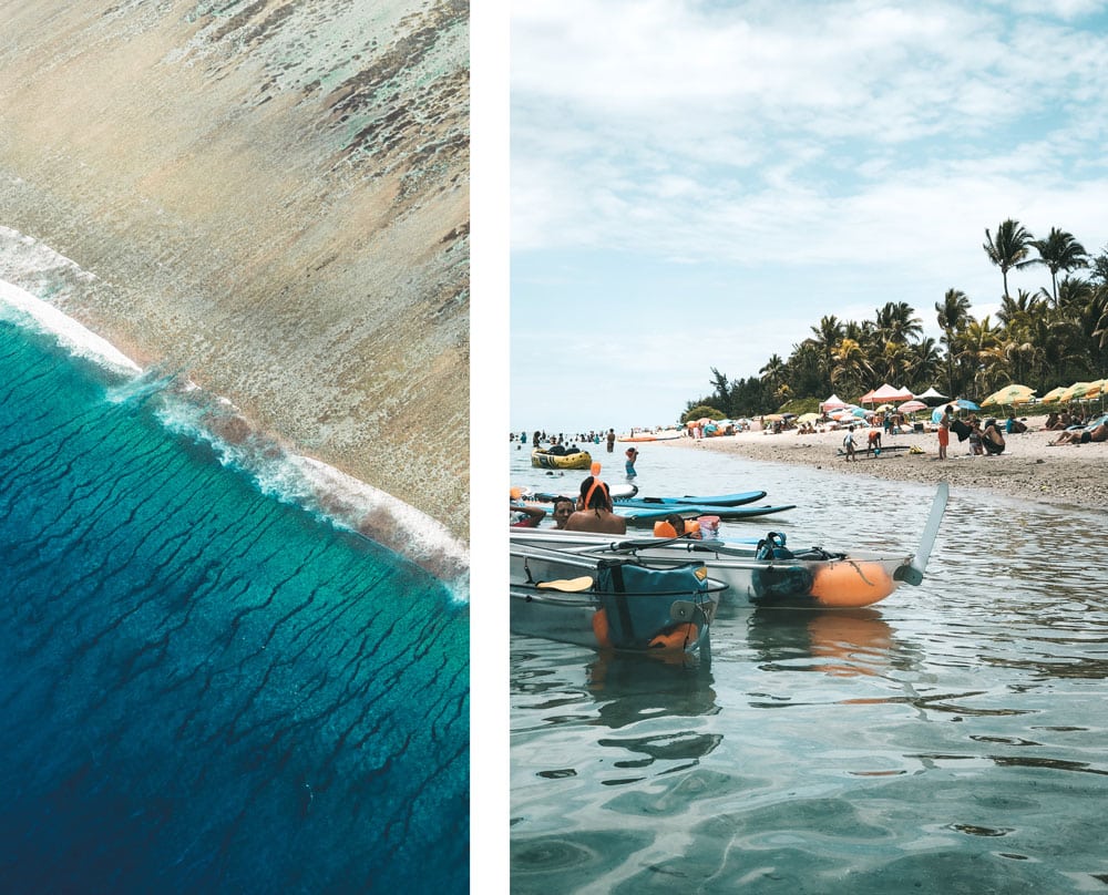 quelles sont les plages sans requins