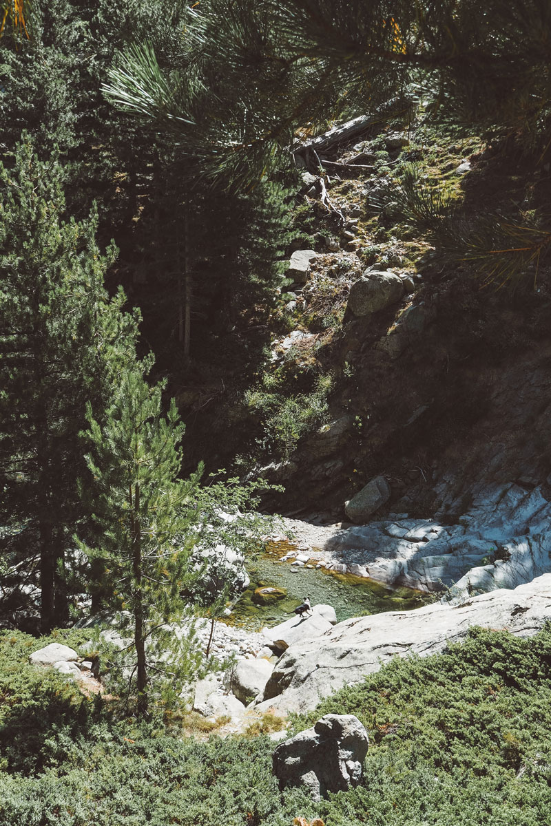 plus beau canyon de Corse Restonica Asco