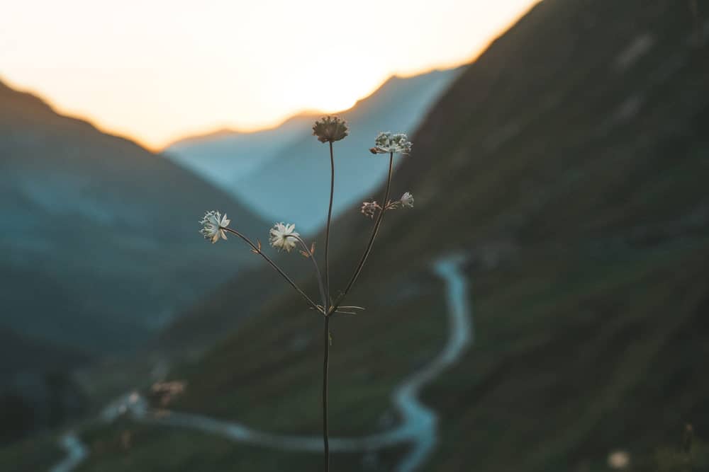 dormir à la montagne en famille La Plagne