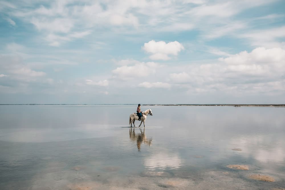 balade à cheval pour contempler flamants roses