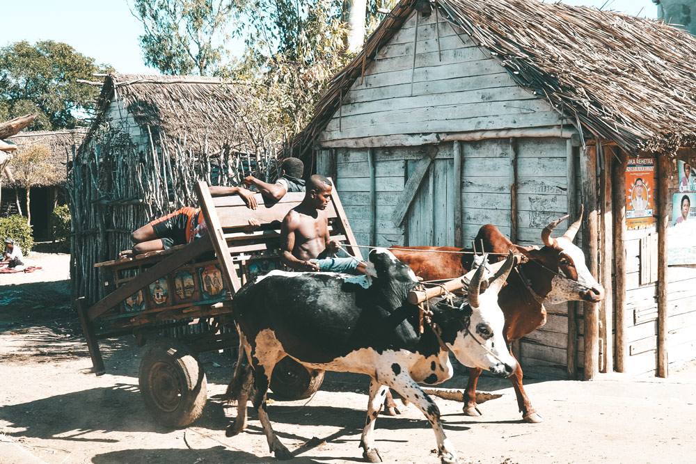 circuler à Madagascar comment se déplacer