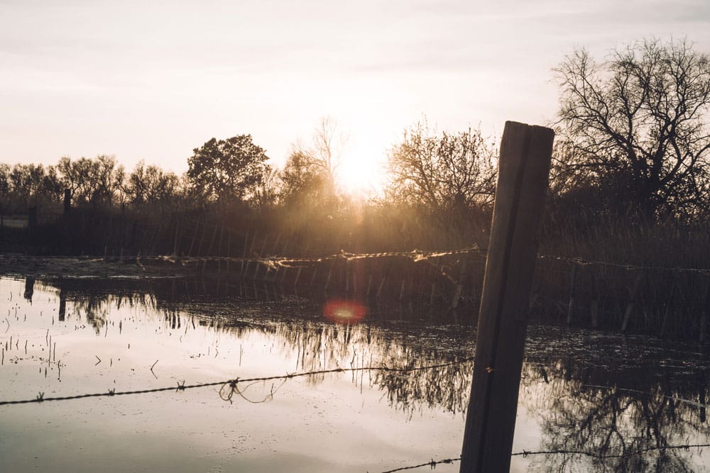 horaires tarifs Pont de Gau Camargue