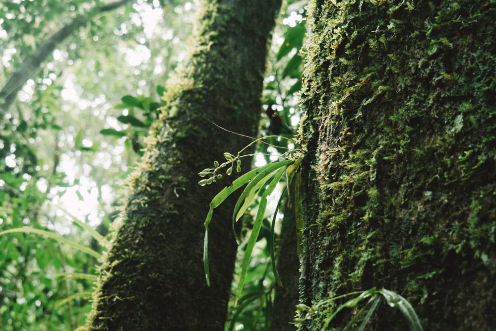 météo climat de Madagascar préparer voyage