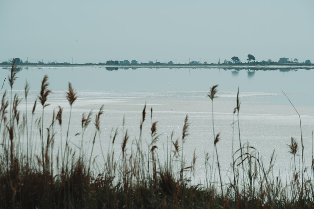 nature camarguaise Salins et étangs à faire