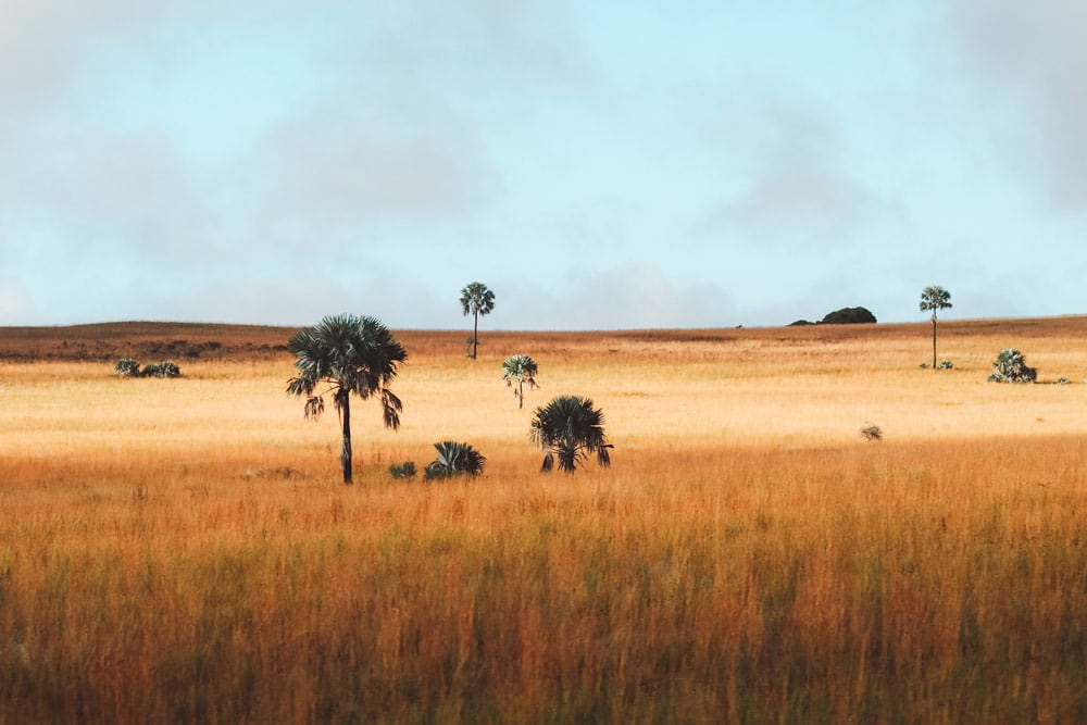 prendre une assurance voyage Madagascar