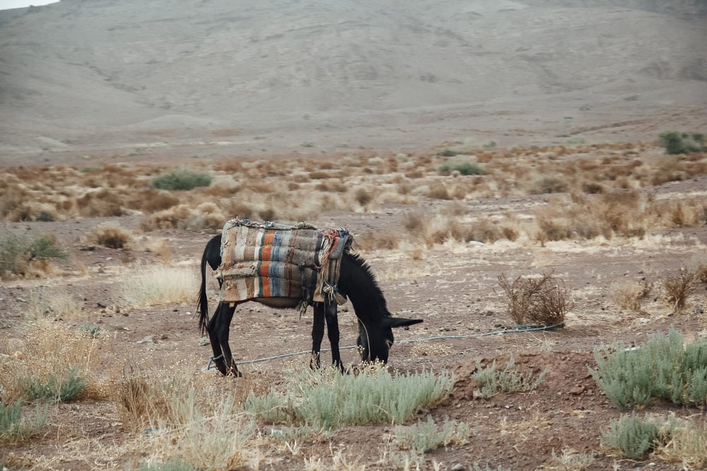 conduire au Maroc risques louer véhicule