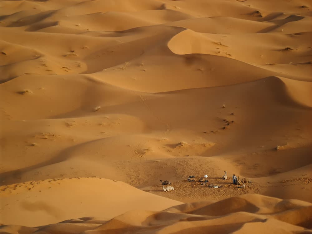 quel désert choisir entre Mhamid et Merzouga