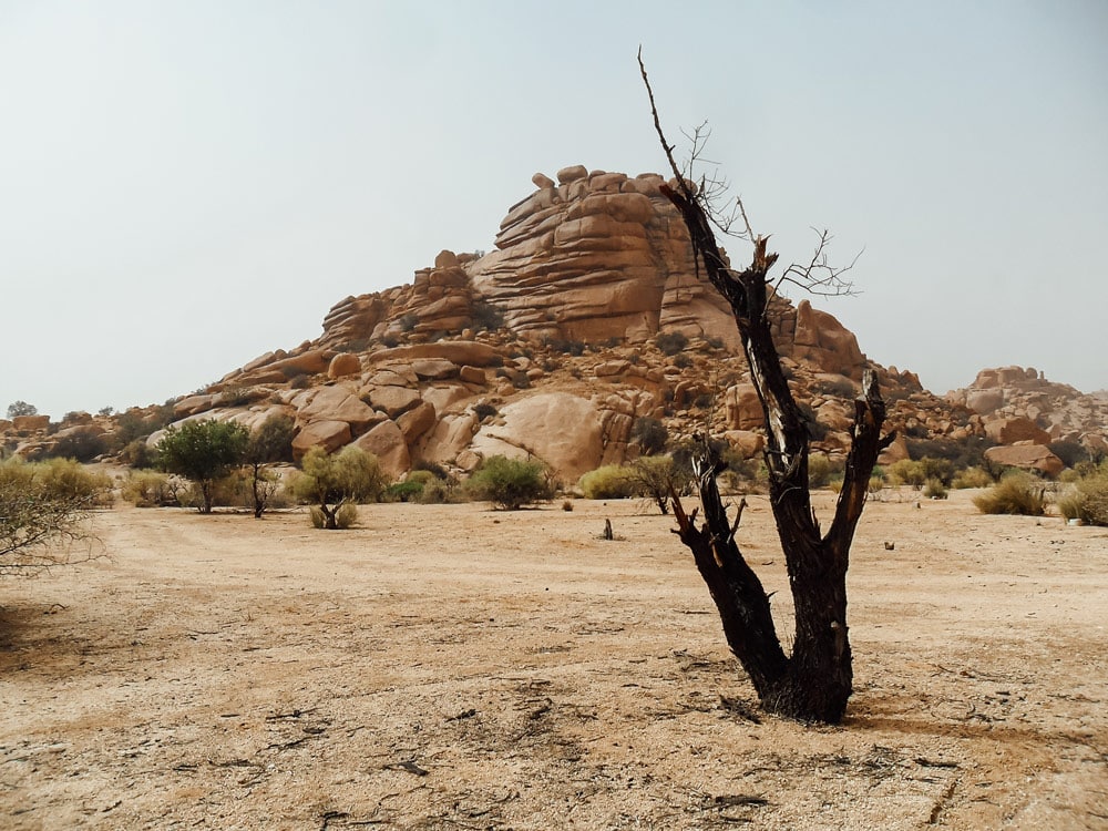 quelle période pour partir au Maroc meilleure saison