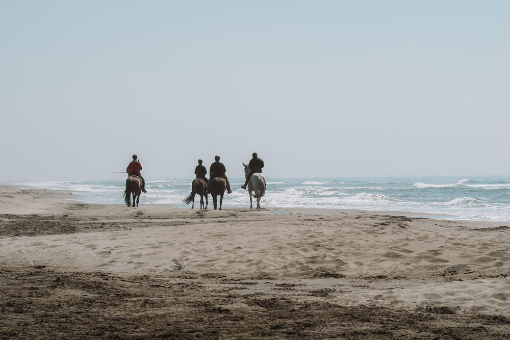 faire du cheval en Camargue