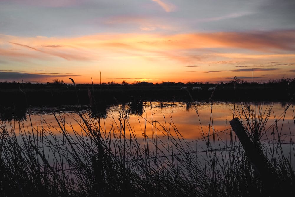 où voir coucher de soleil Camargue ?