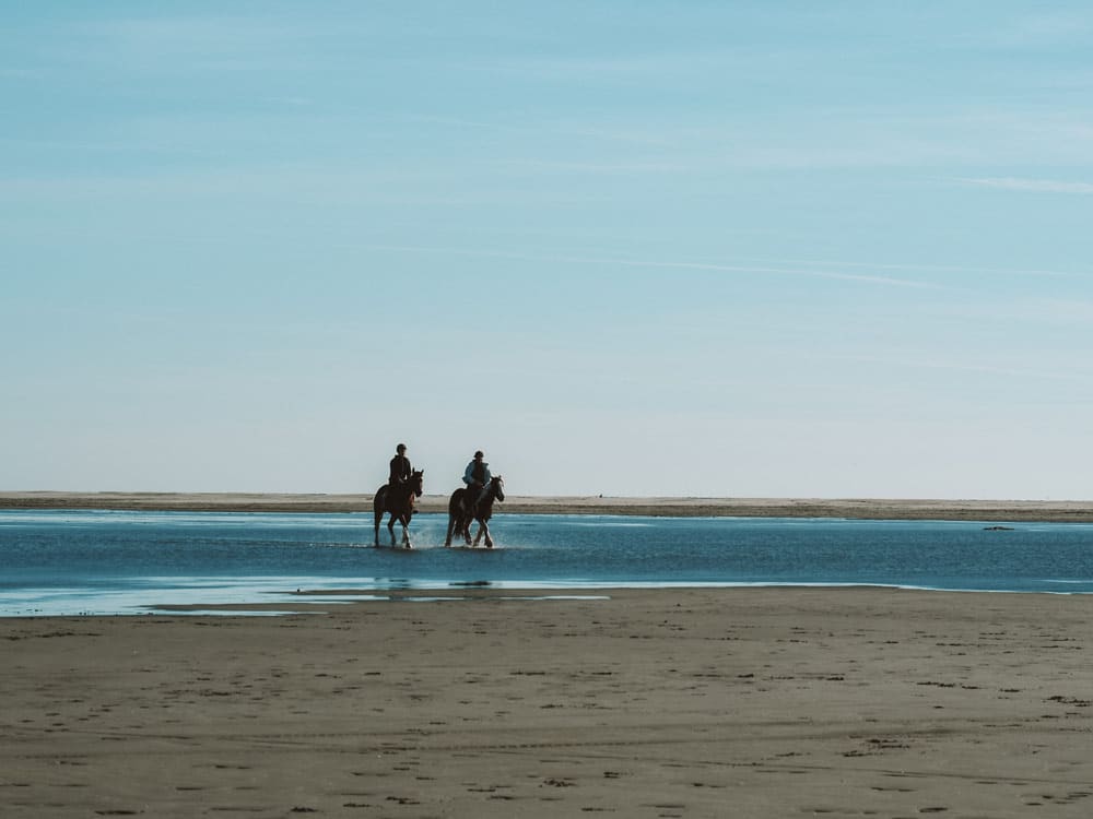 Quel centre équestre en Camargue ?