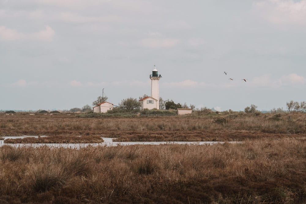 randonnée Digue à la Mer phare Gacholle