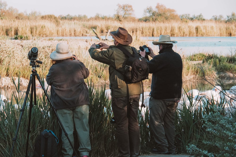 visite parc naturel Camargue