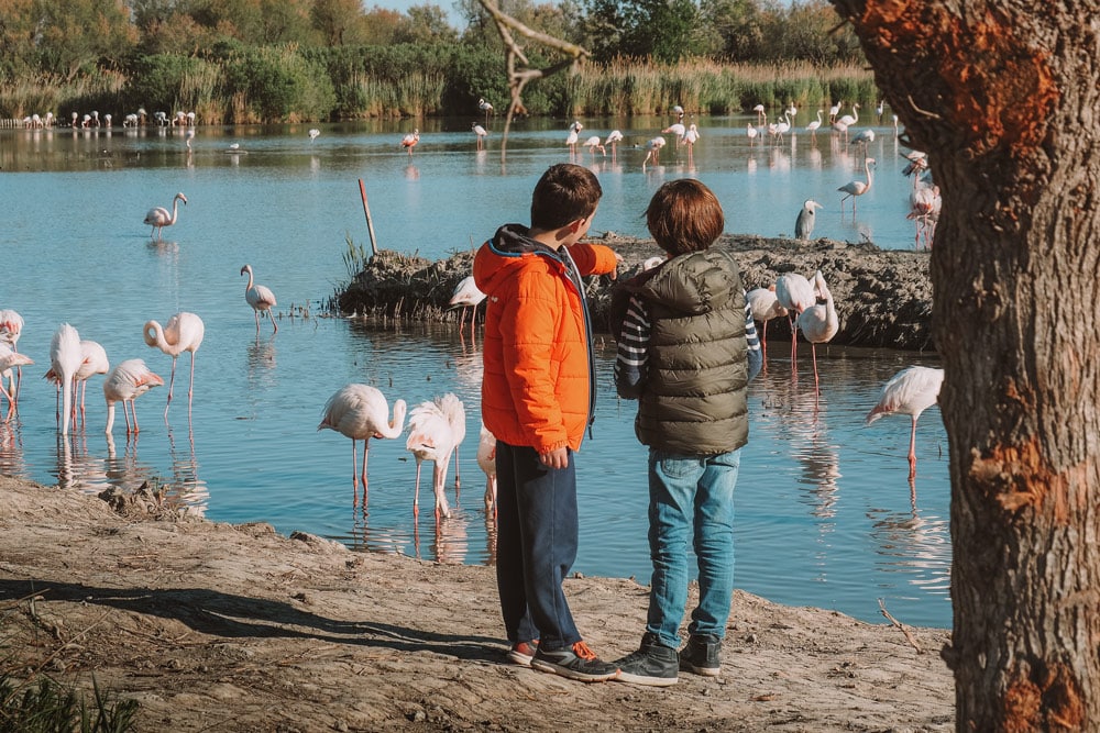 visites Camargue en famille