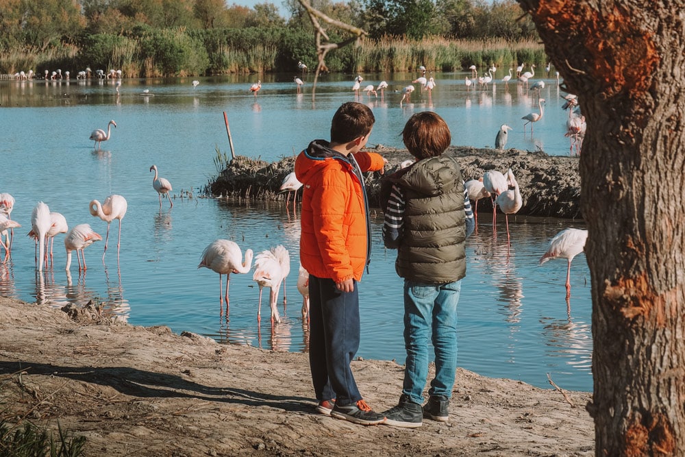 visites Camargue en famille