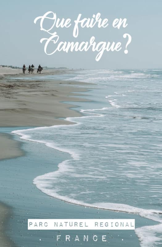 Visites Camargue que faire