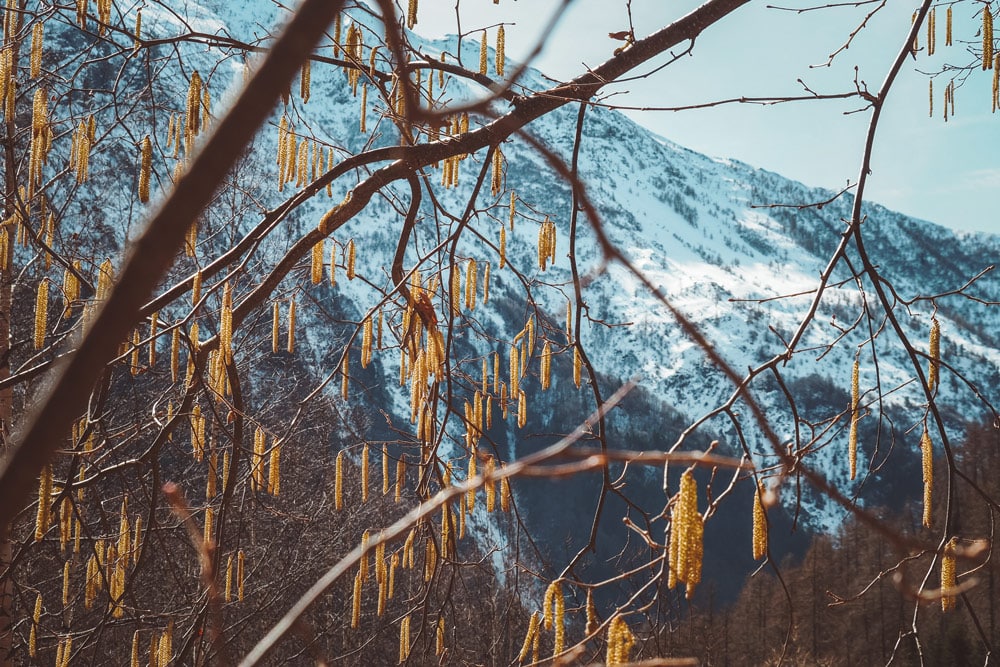 plus belle randonnée du Champsaur