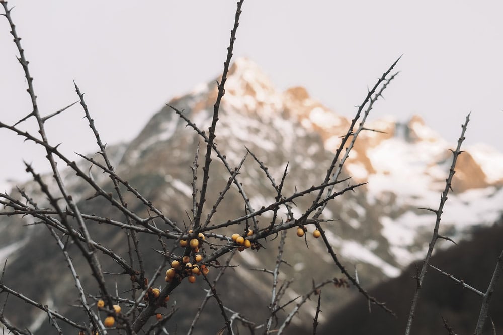 randonnée avec un guide montagne certifié Champsaur