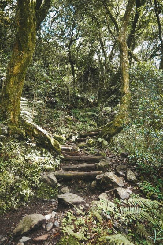 sentier du Trou de Fer île La Réunion