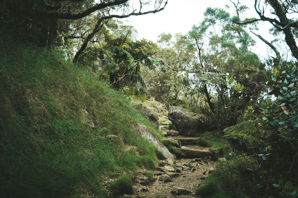 sentier randonnée gîte de Bélouve école Normale