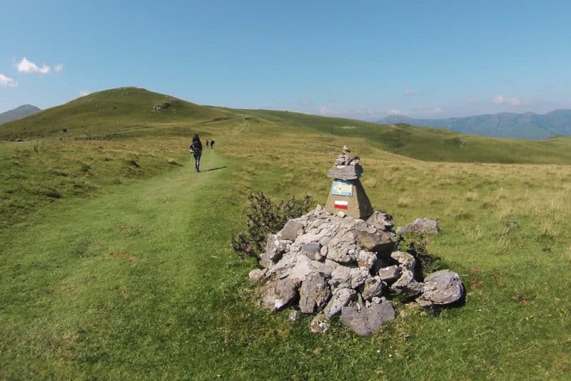 Compostellecol de Roncevaux