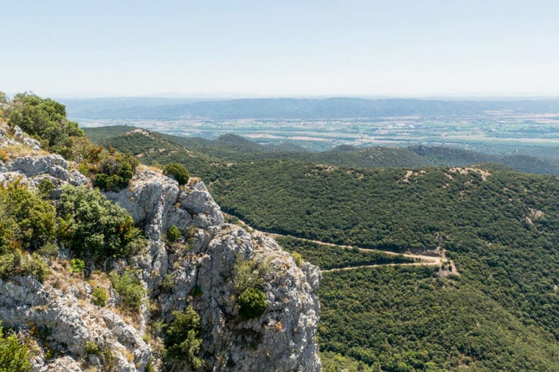 panorama forêt des cèdres Luberon