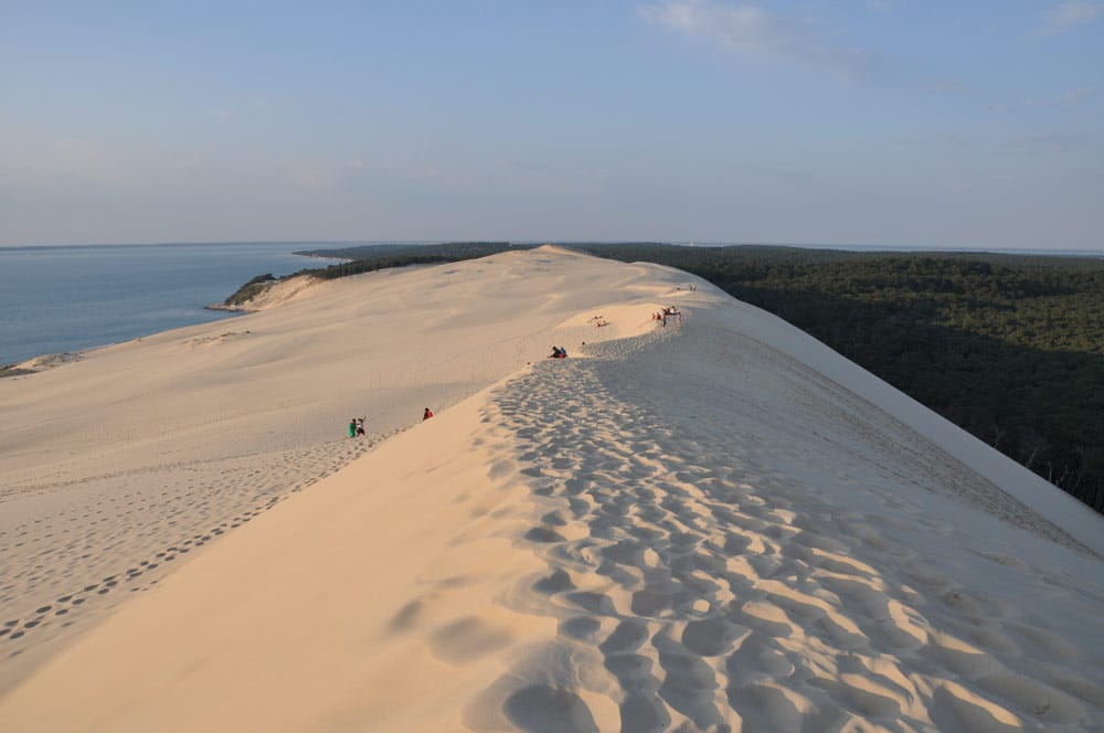 Une Tente Dans Le Désert Avec Un Panier De Champignons Dans Le Sable.