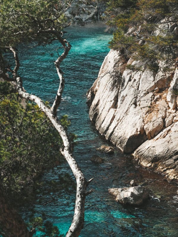 criques du parc national des Calanques Marseille