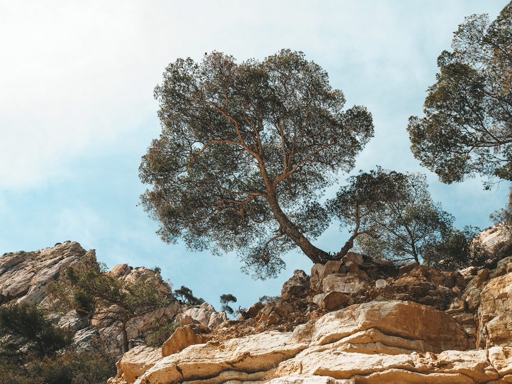 idées randonnées à pied calanques de Marseille