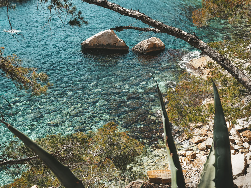 parc national des calanques Marseille Cassis été juillet août