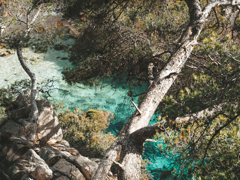 quand aller dans les calanques de Marseille Cassis