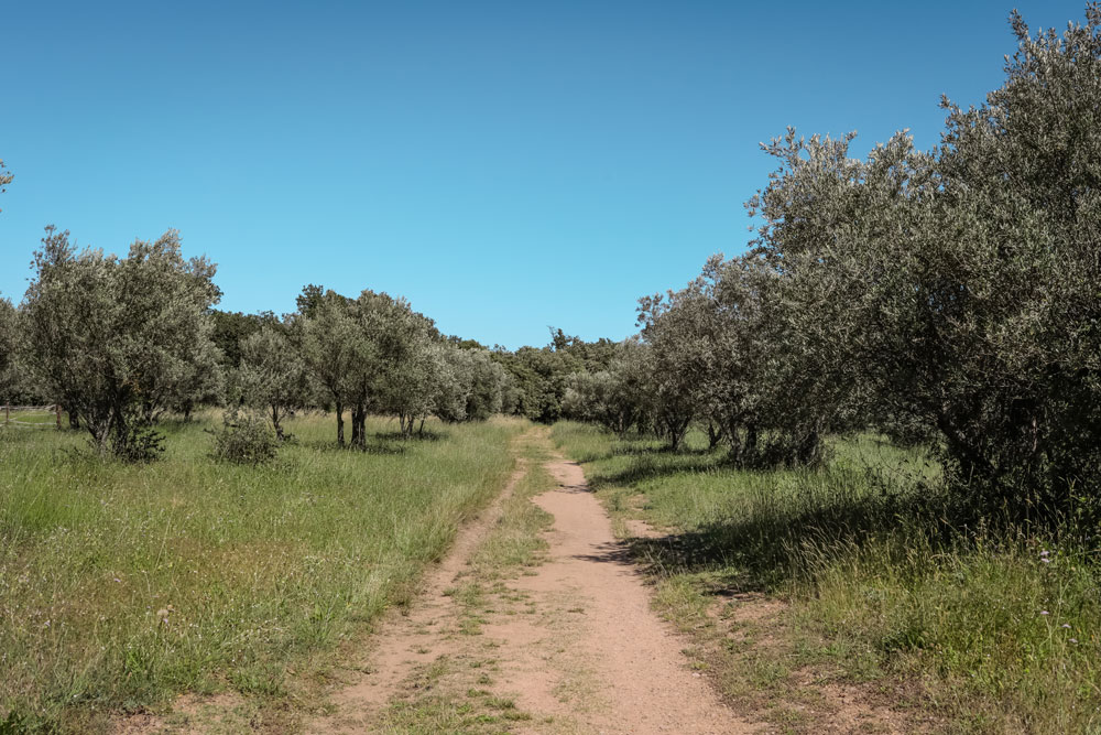 chemin de randonnée cascade de Sillans