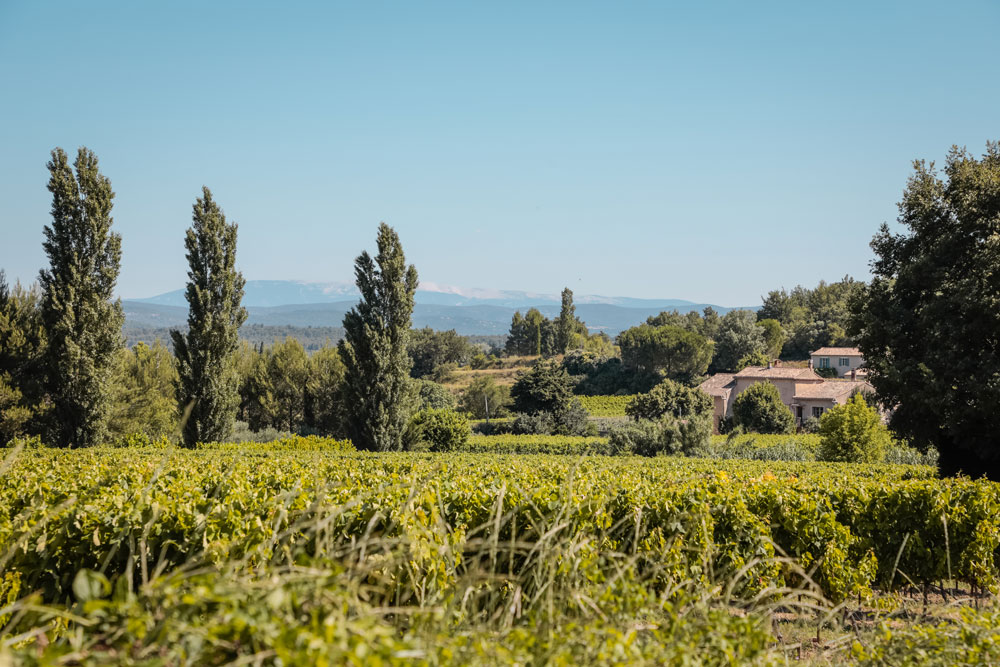 road trip vignobles du Luberon