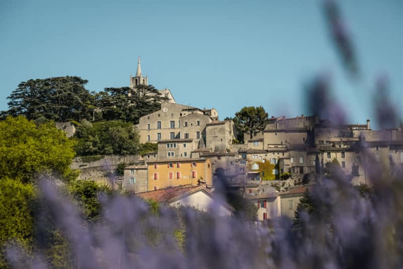 où voir les lavandes du Luberon ?