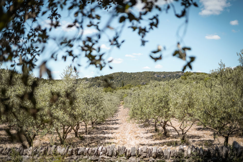 que faire dans le Luberon Provence