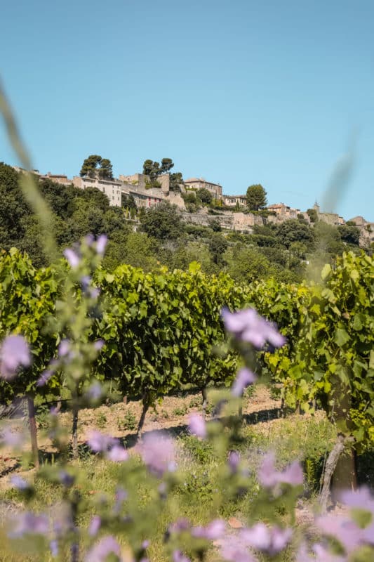 villages perchés et vignobles Luberon